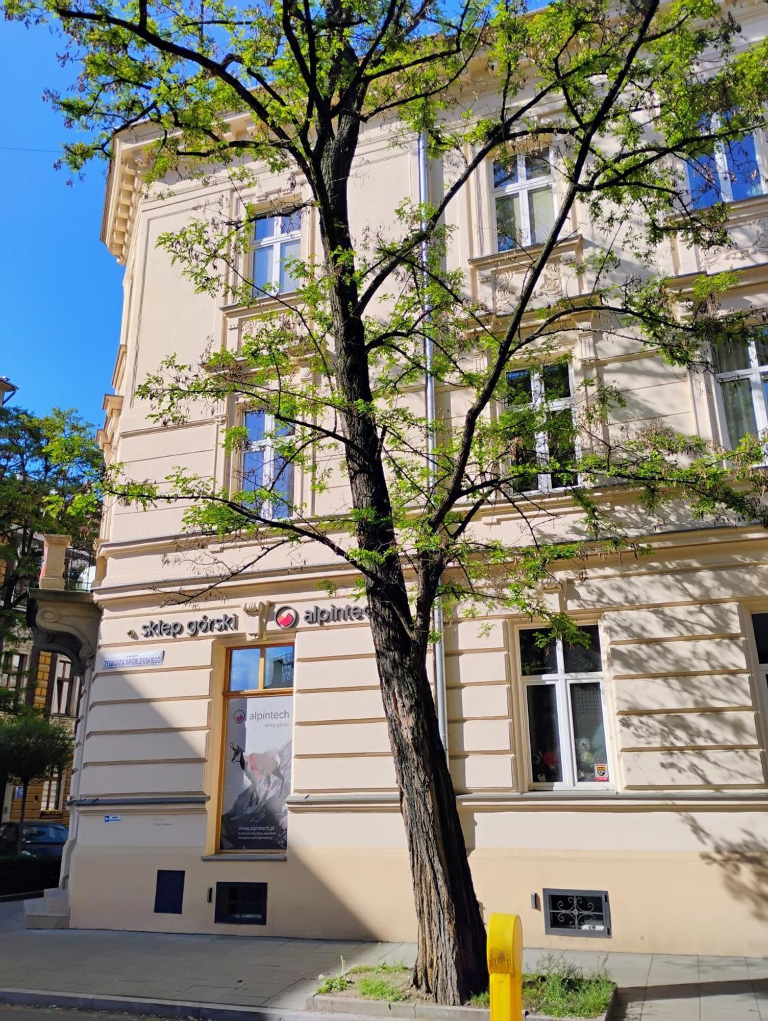 Apartament Rozy Krakau Exterior foto